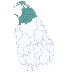 Northern