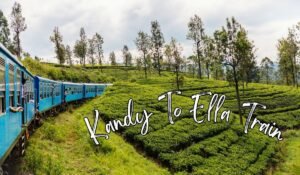Read more about the article Kandy To Ella Train