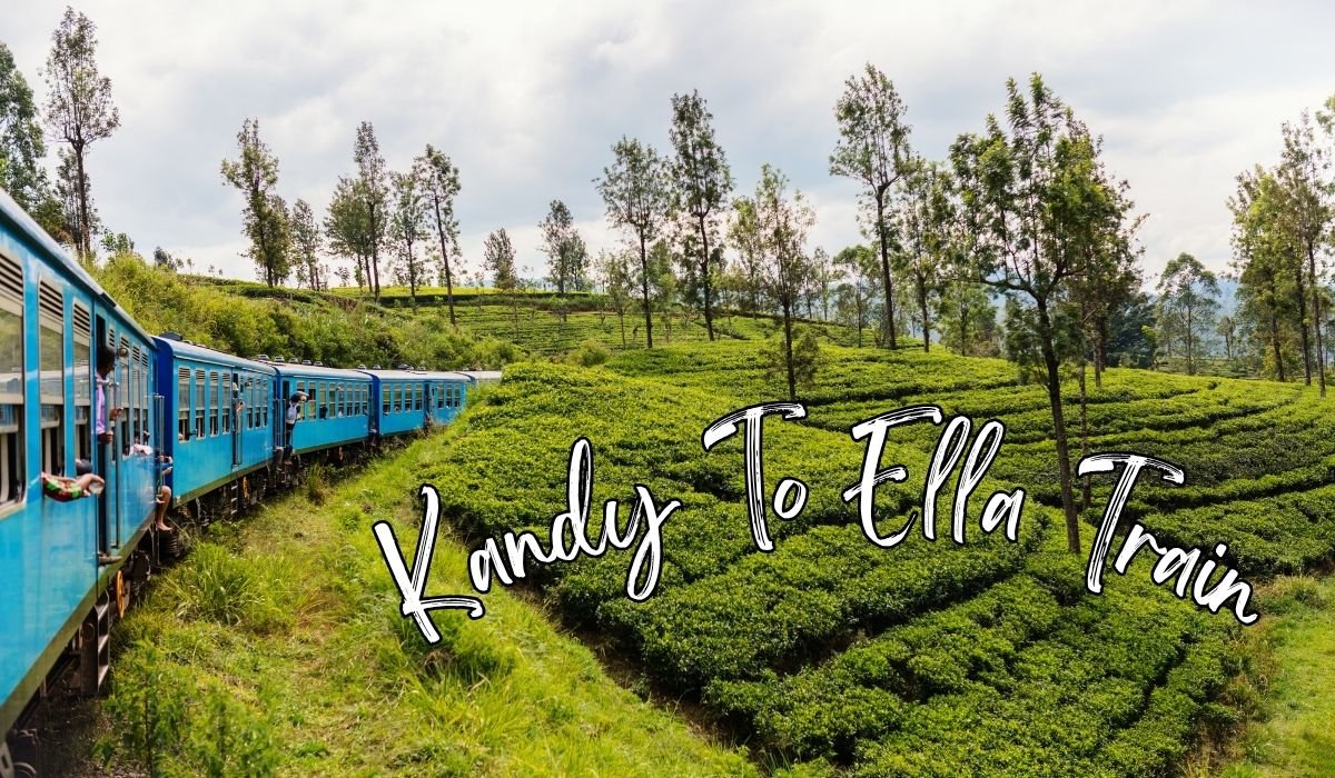 You are currently viewing Kandy To Ella Train